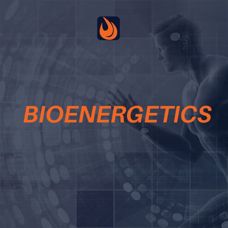 bioenergetics