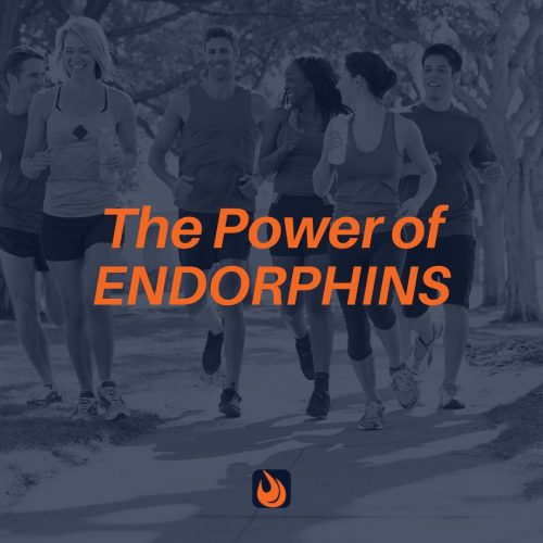 The Power Of Endorphins