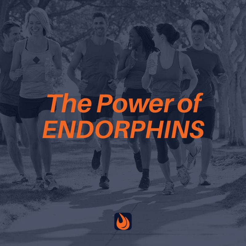 The Power of Endorphins 2 Endorphins