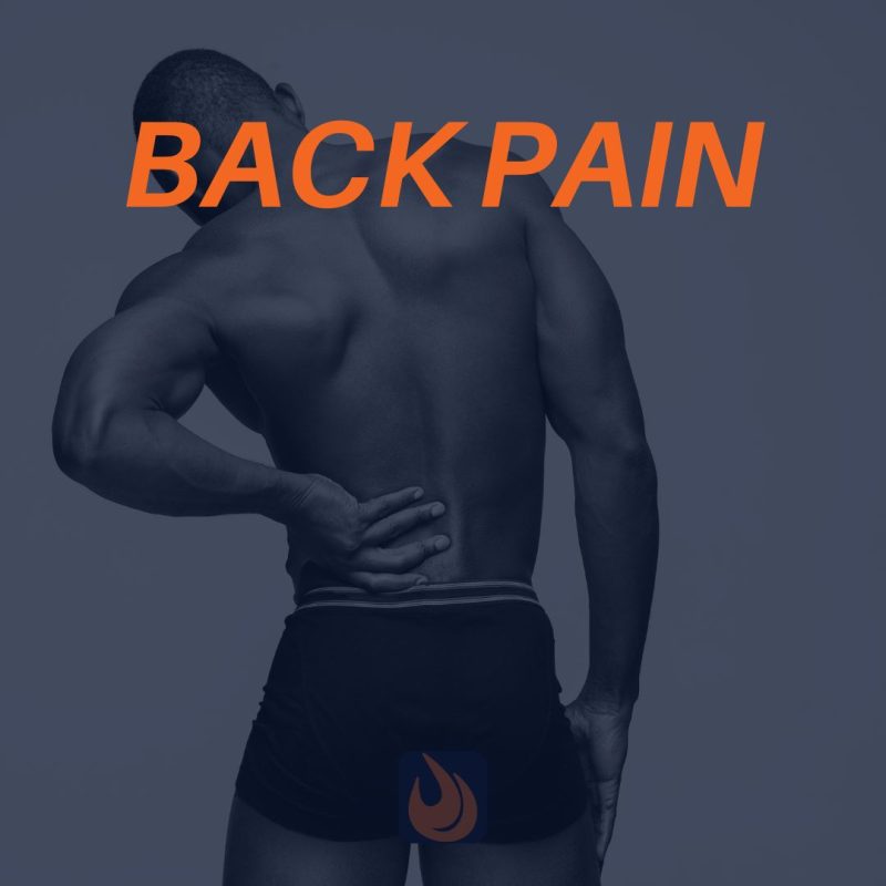 Dorsalgia: Back Pain and the Personal Training Client 2 BACK PAIN
