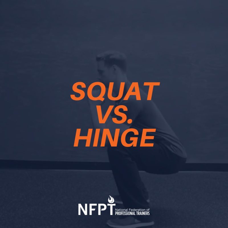 the hinge vs. the squat