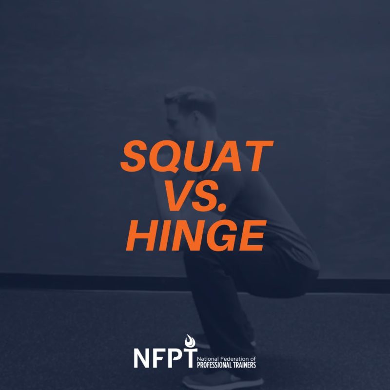 Coaching the Hinge vs. the Squat 2 the hinge vs. the squat