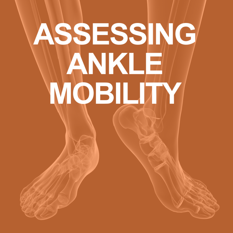 ASSESSING ANKLE MOBILITY
