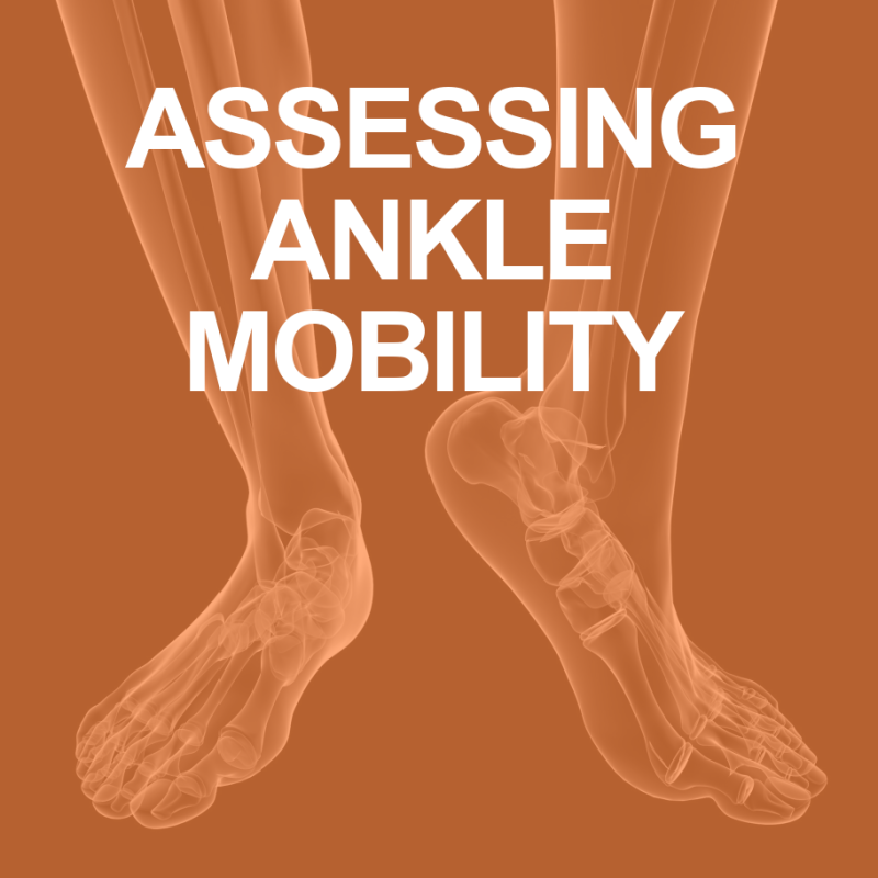 Assessing Ankle Mobility