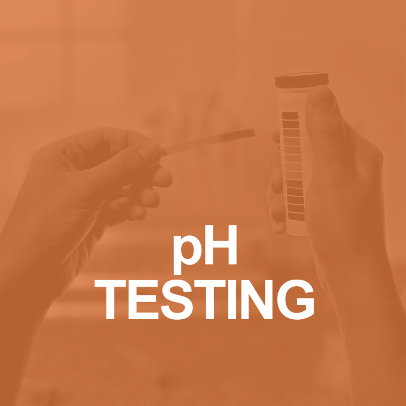 Homeostasis-pH Testing and Urine Color 2 PH TESTING