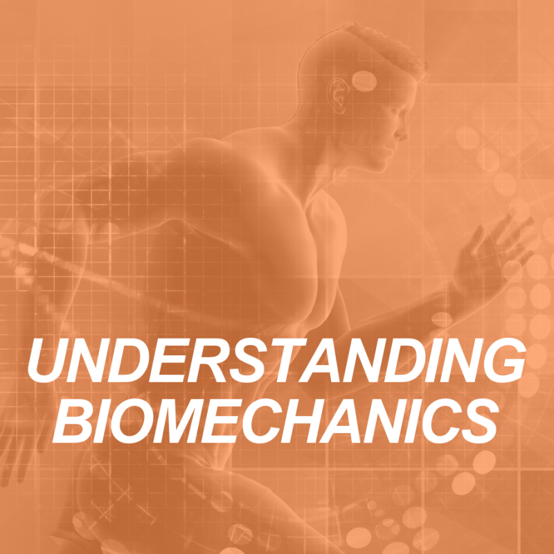 Biomechanics: The Science of Human Movement 2 biomechanics: HUMAN MOVEMENT SCIENCE