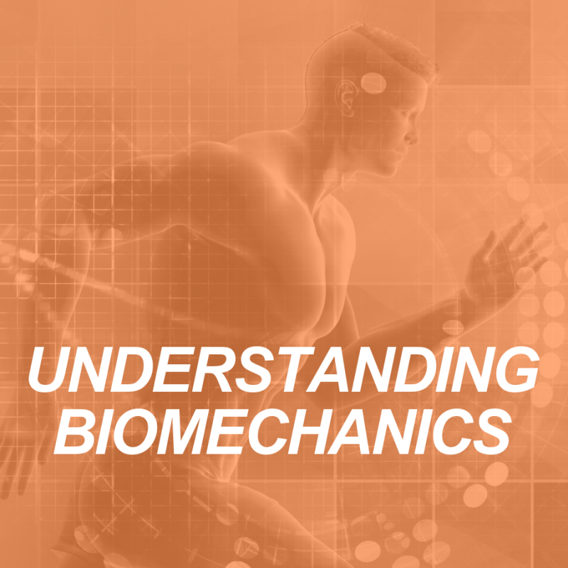 biomechanics: HUMAN MOVEMENT SCIENCE