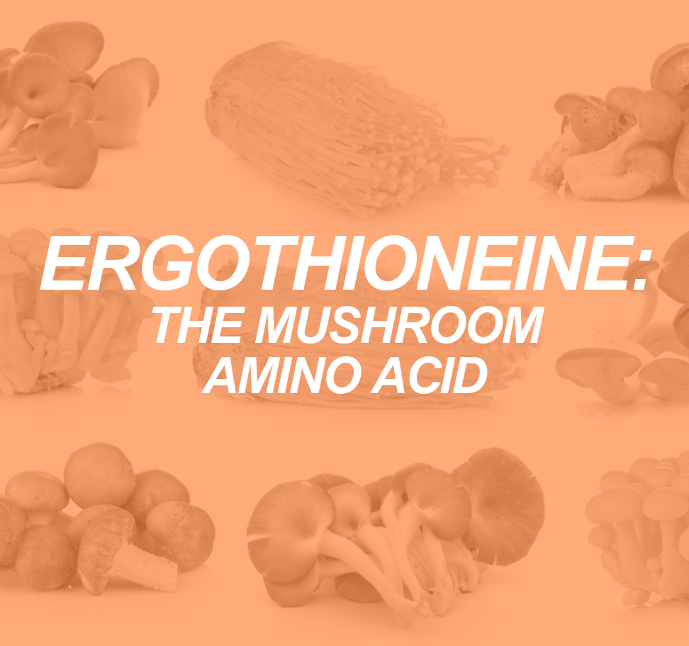 Ergothioneine: The Mushroom’s Mighty Amino Acid