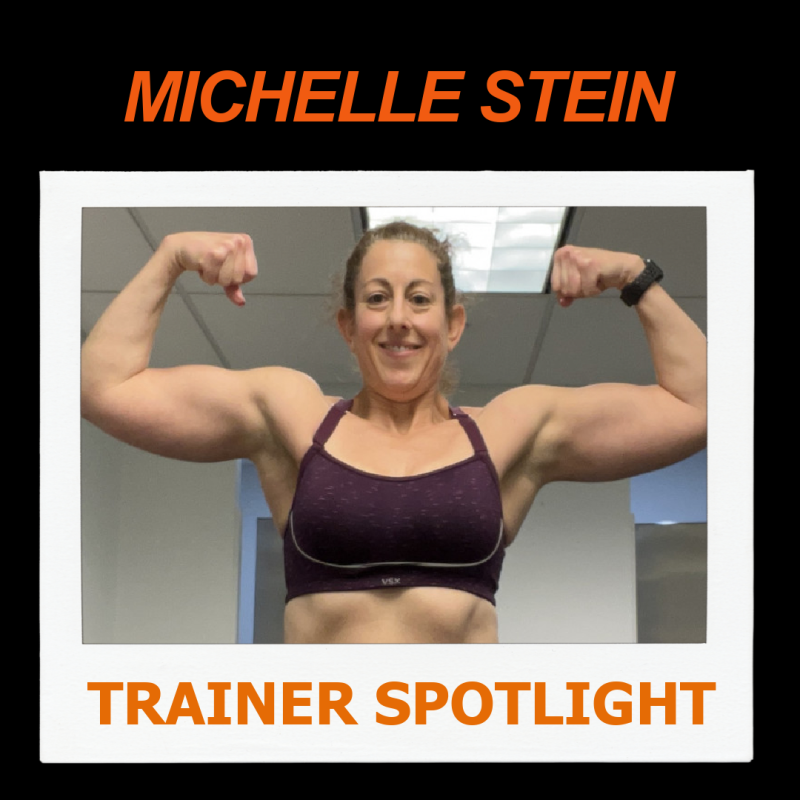 Michelle Stein--NFPT Personal Trainer Spotlight 2 MICHELLE STEIN