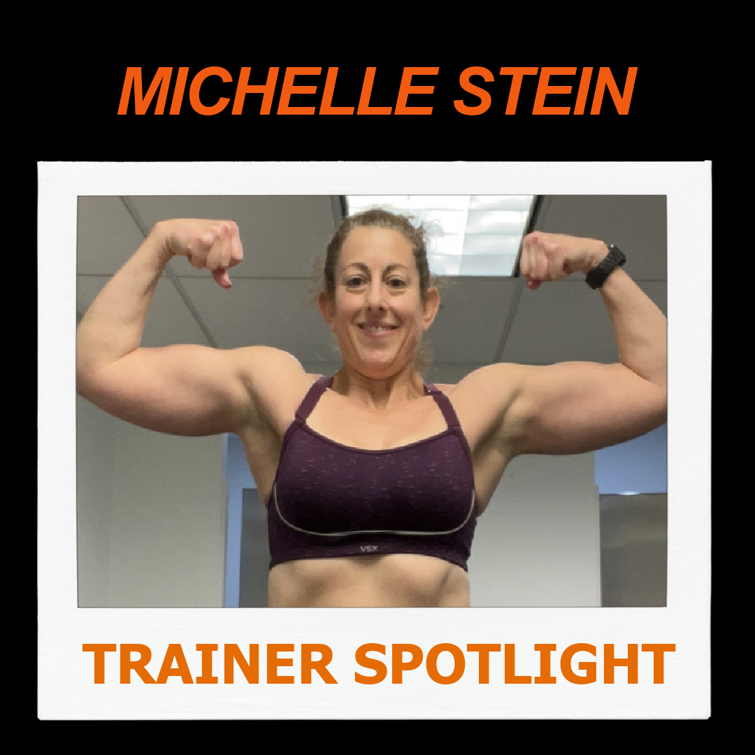 Michelle Stein–NFPT Personal Trainer Spotlight