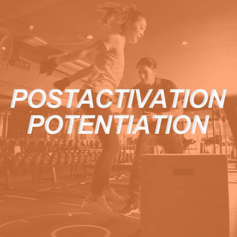 Postactivation Potentiation: Unleash Your Clients' Full Capabilities 2 POSTACTIVATION PAP
