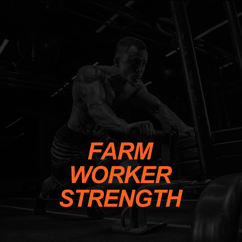 Farm Worker Strength: Building General Physical Preparedness 2 FARMWORKER
