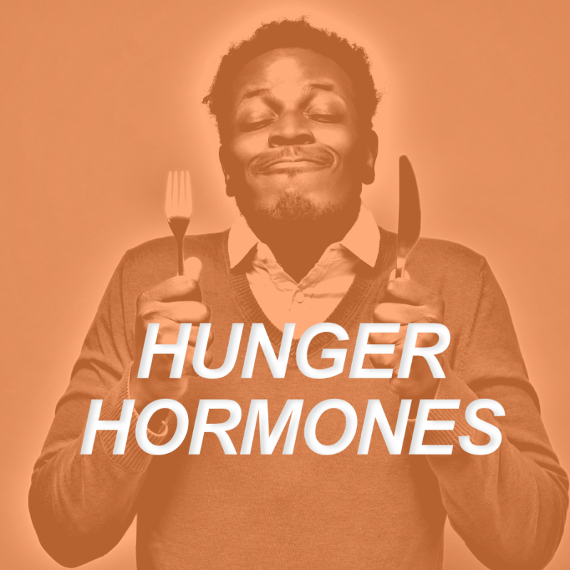 Hunger Hormones: Ghrelin, Leptin And The Satiety Balance 2 Hunger Hormones