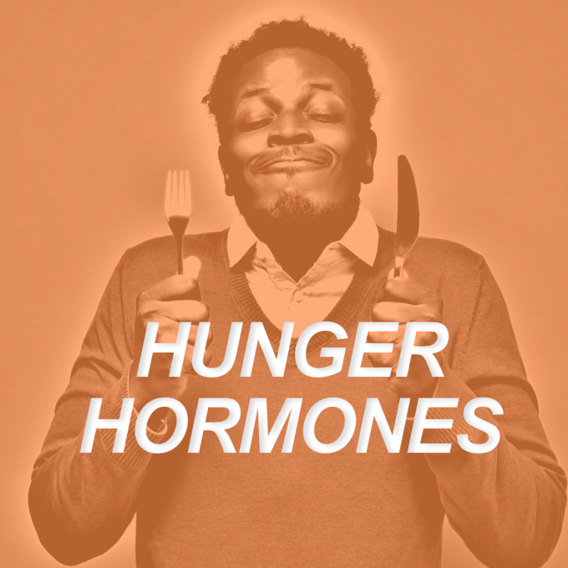 Hunger Hormones