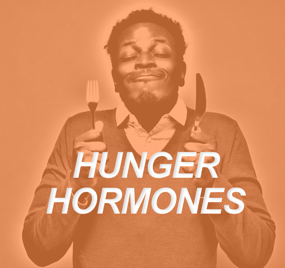 Hunger Hormones