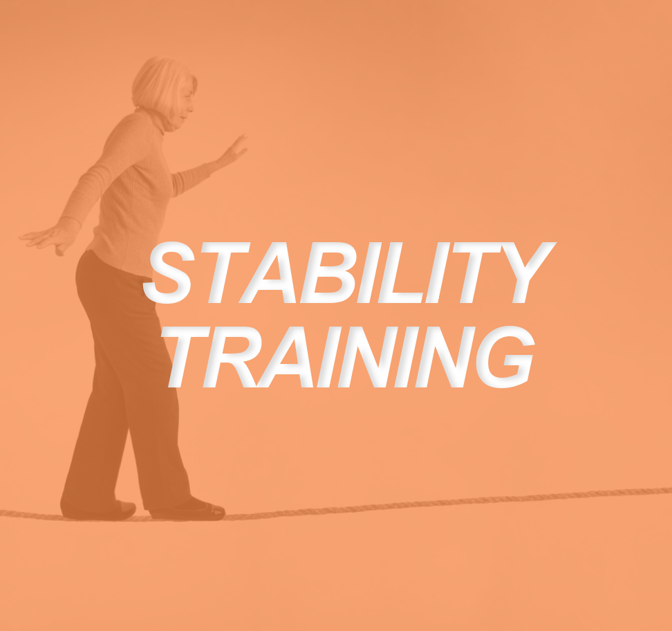 Stability Training: Load vs Platform