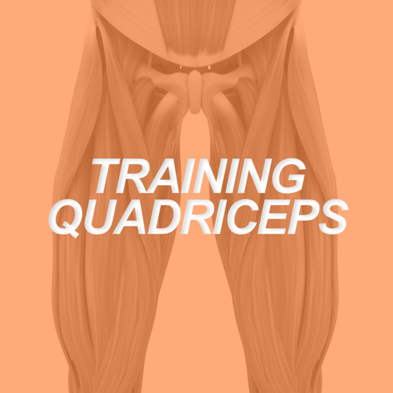 TRAINING QUADRICEPS