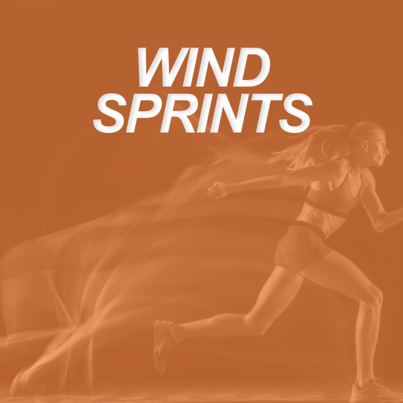 Wind Sprints: How to Effectively Train Personal Training Clients for Speed 1 WIND SPRINTS