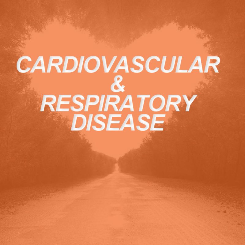 cardiovascular respiratory
