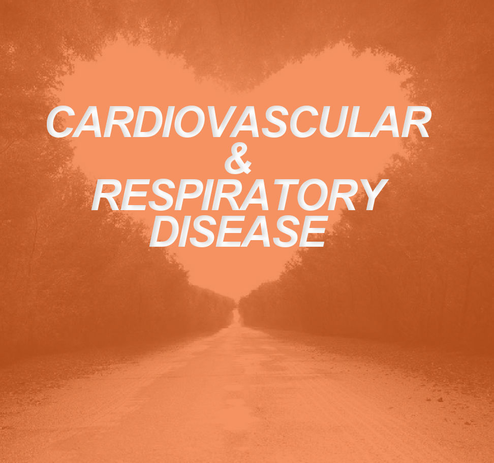 Cardiovascular and Respiratory Disease: How Personal Trainers Can Help