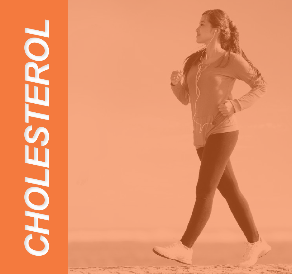 Cholesterol