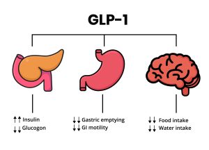 hormones and obesity