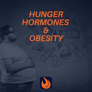 hunger hormones and obesity