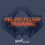 PELVIC FLOOR IMAGE