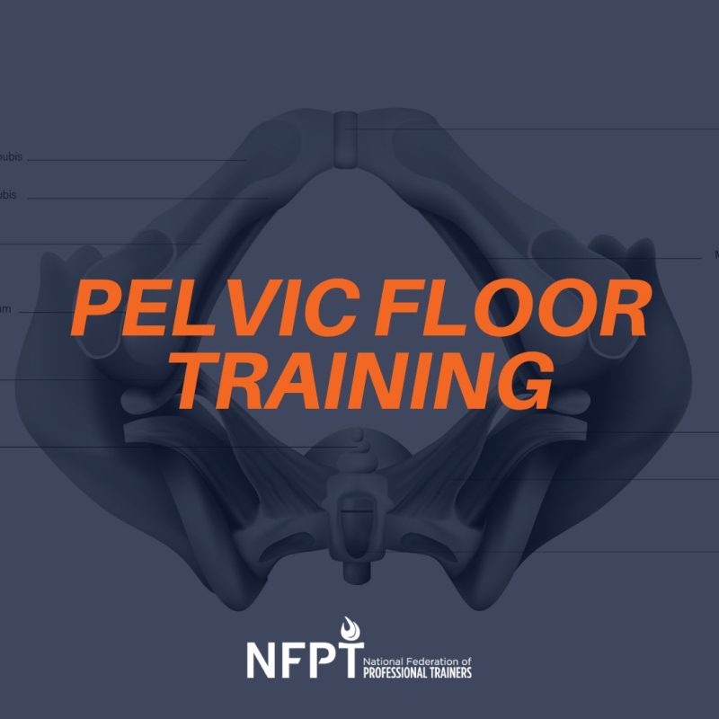 Pelvic Floor Training: Men need it, too 2 PELVIC FLOOR IMAGE