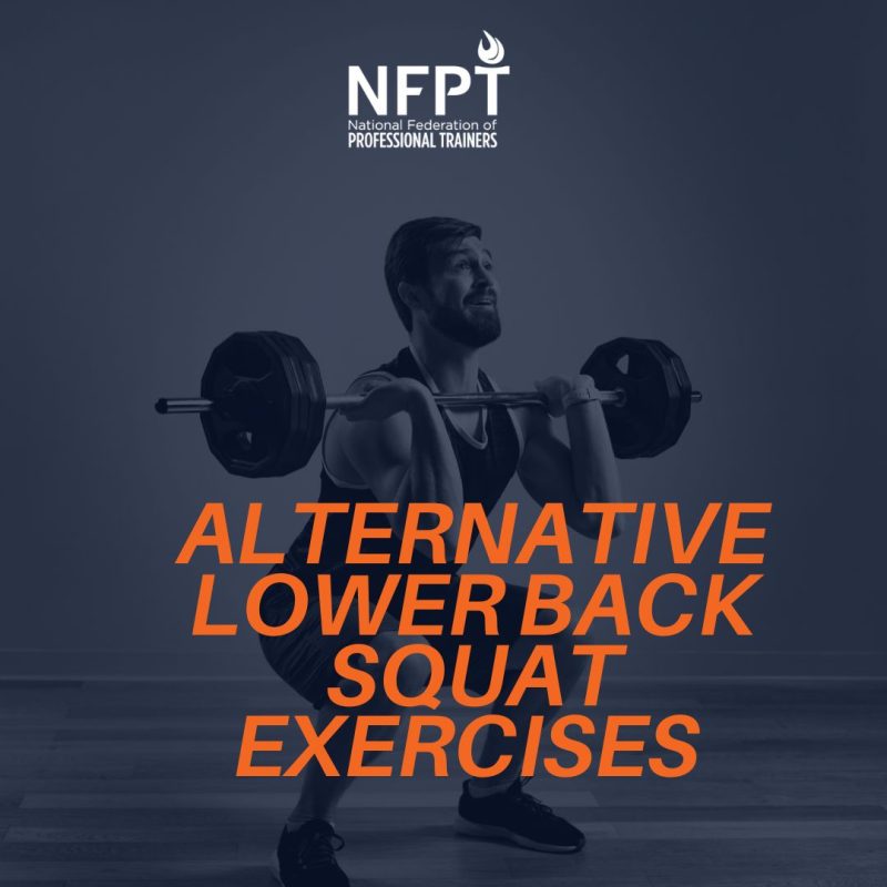 Alternative Lower Back Squat Exercises to Try: Give the Low Back a Break