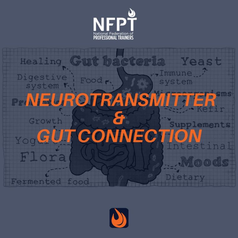 neurotransmitter