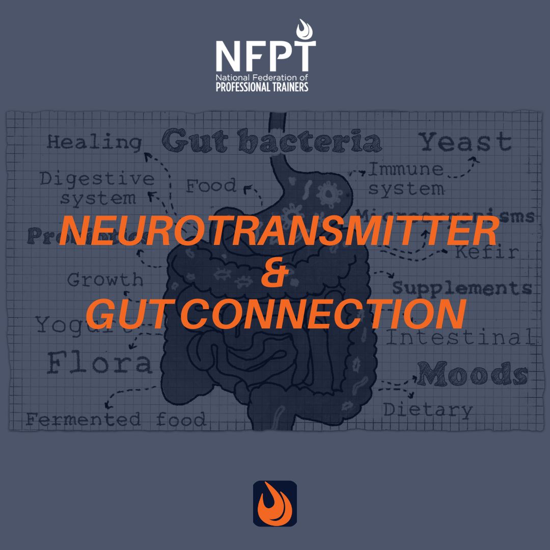 Gut Reaction: Neurotransmitters Serotonin, Dopamine, and Gut Health Synergy