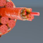 iStock 1951579965