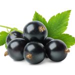 iStock 1180217656