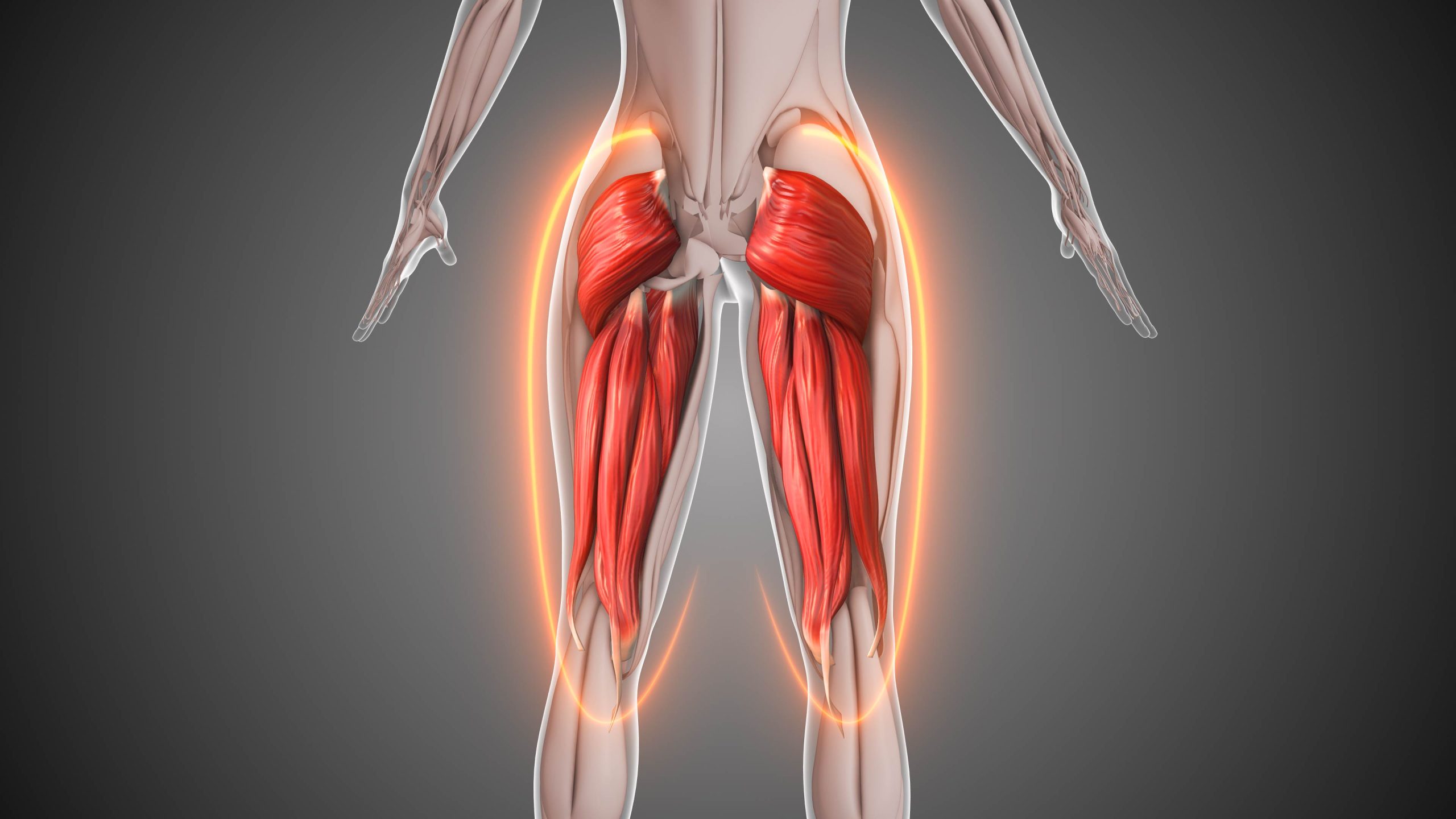 iStock 2160534825 scaled