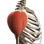 iStock 475658405