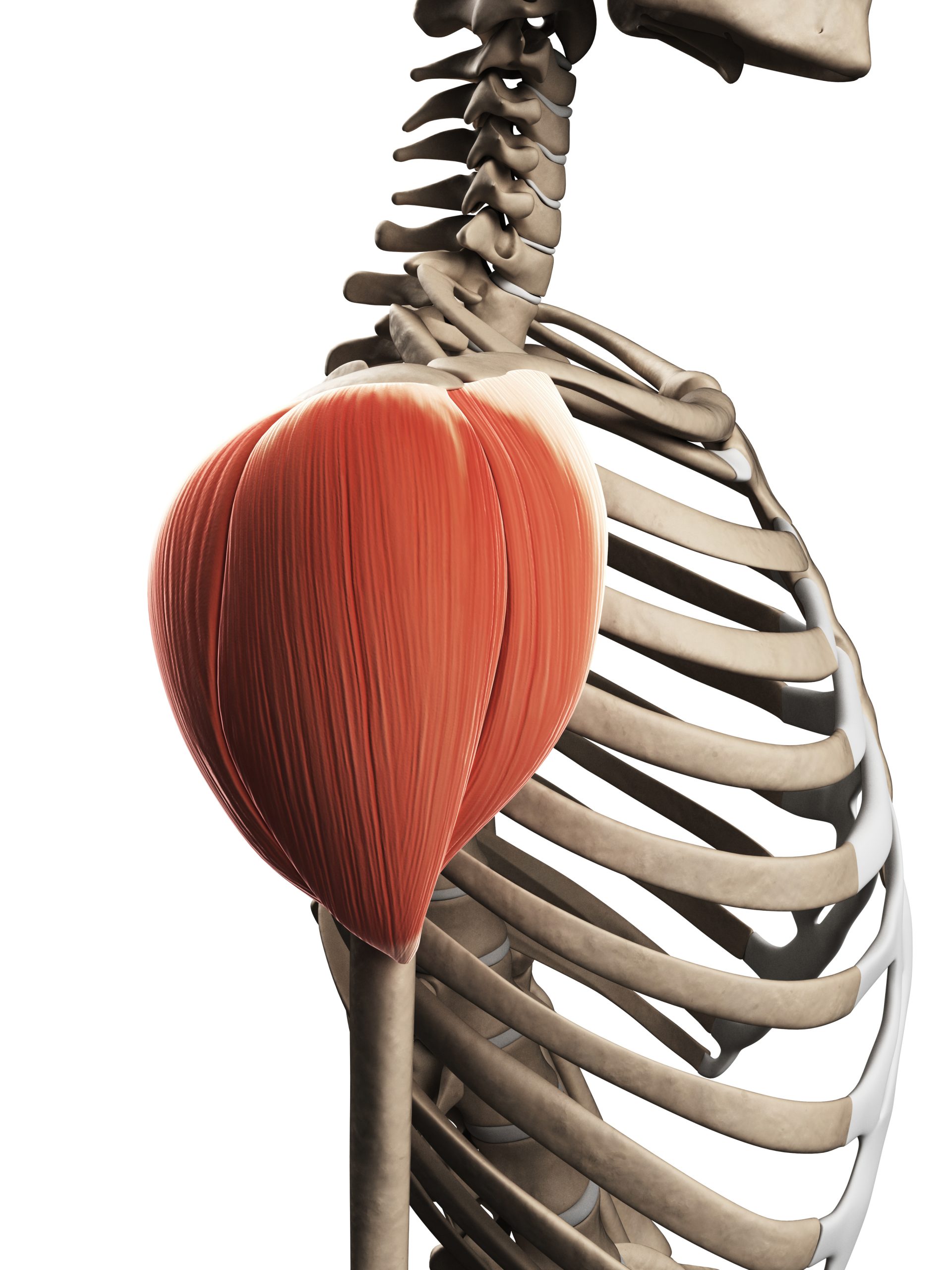 iStock 475658405 scaled