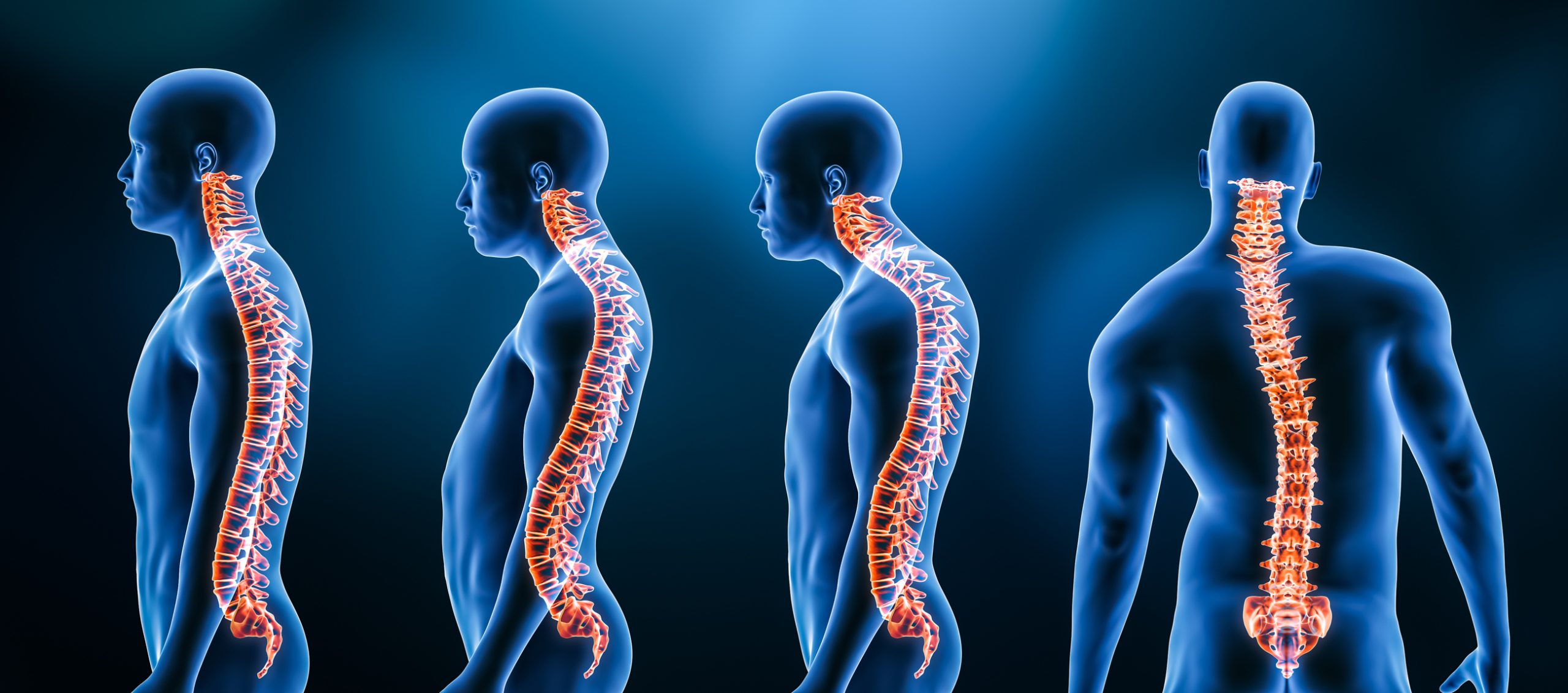iStock 1337099221 scaled