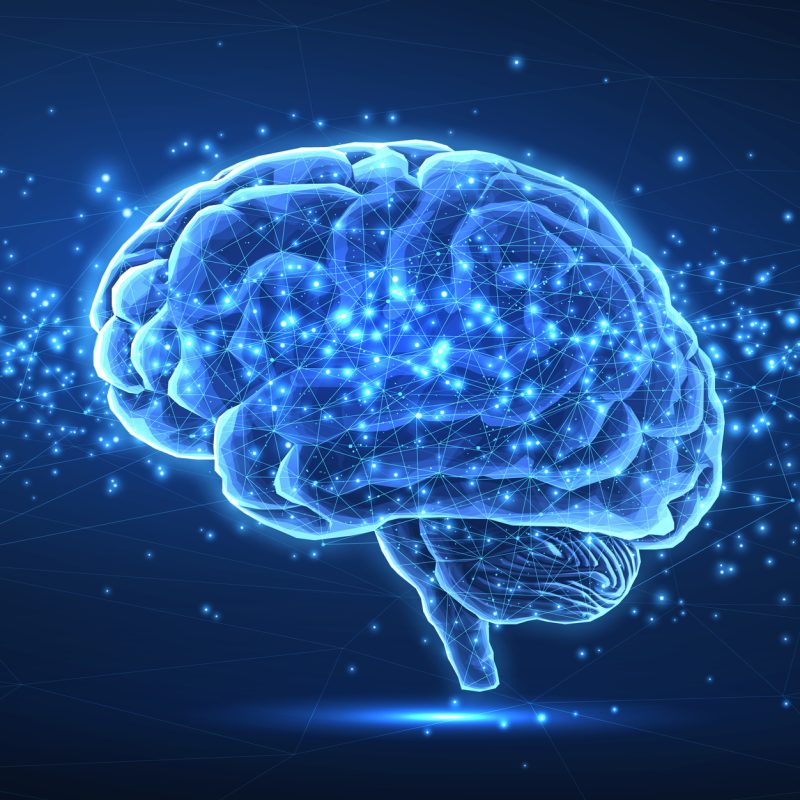 Strength Training, GLP-1s, and Executive Function: A Muscle-Forward Strategy for Mental Performance 2 iStock 2160062160