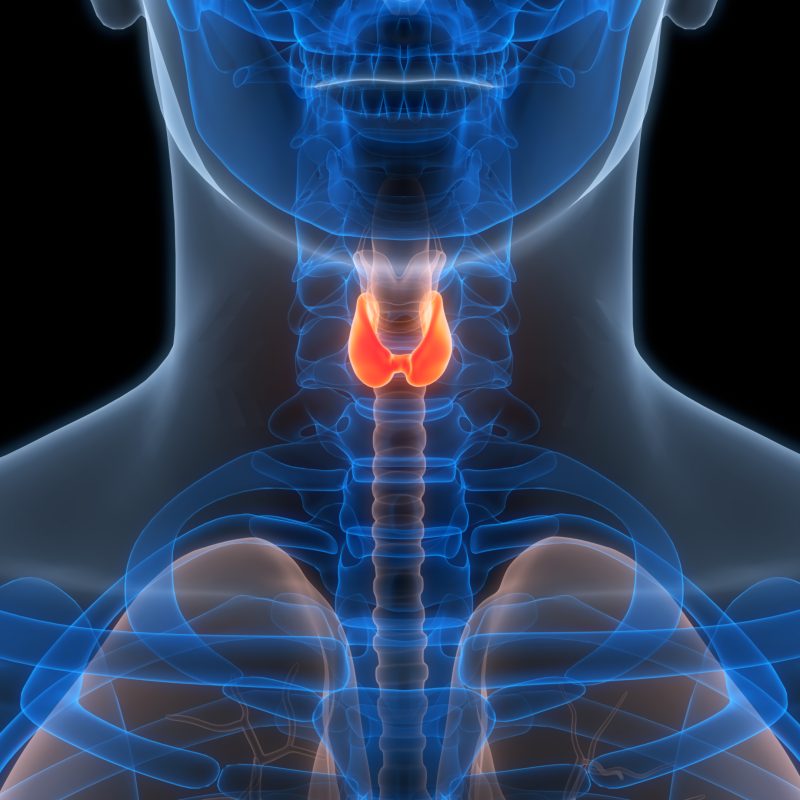 iStock 2162666385