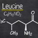 leucine
