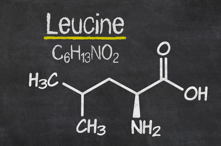 Should Personal Trainers Recommend BCAA's to Their Clients? 2 leucine