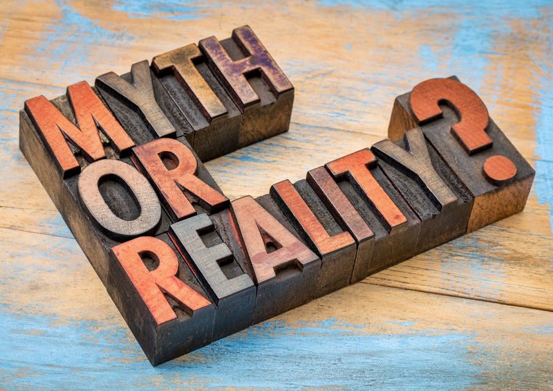 Top 5 Nutrition Myths 2 Myth Or Reality? Blocks