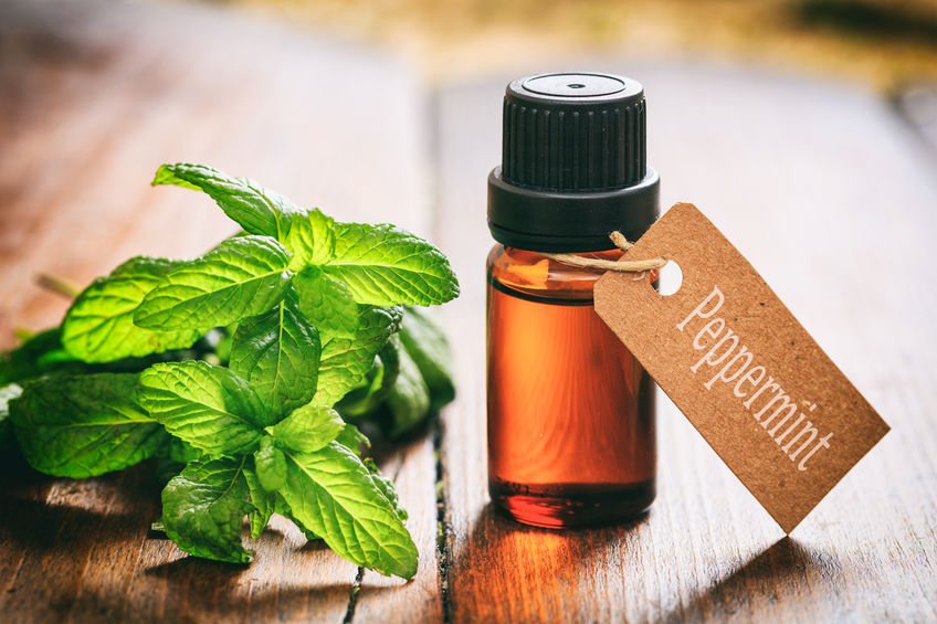 Peppermint and oil