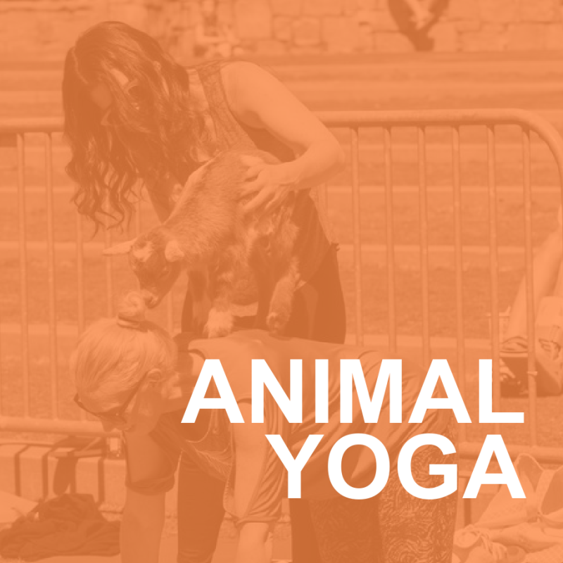 ANIMAL YOGA