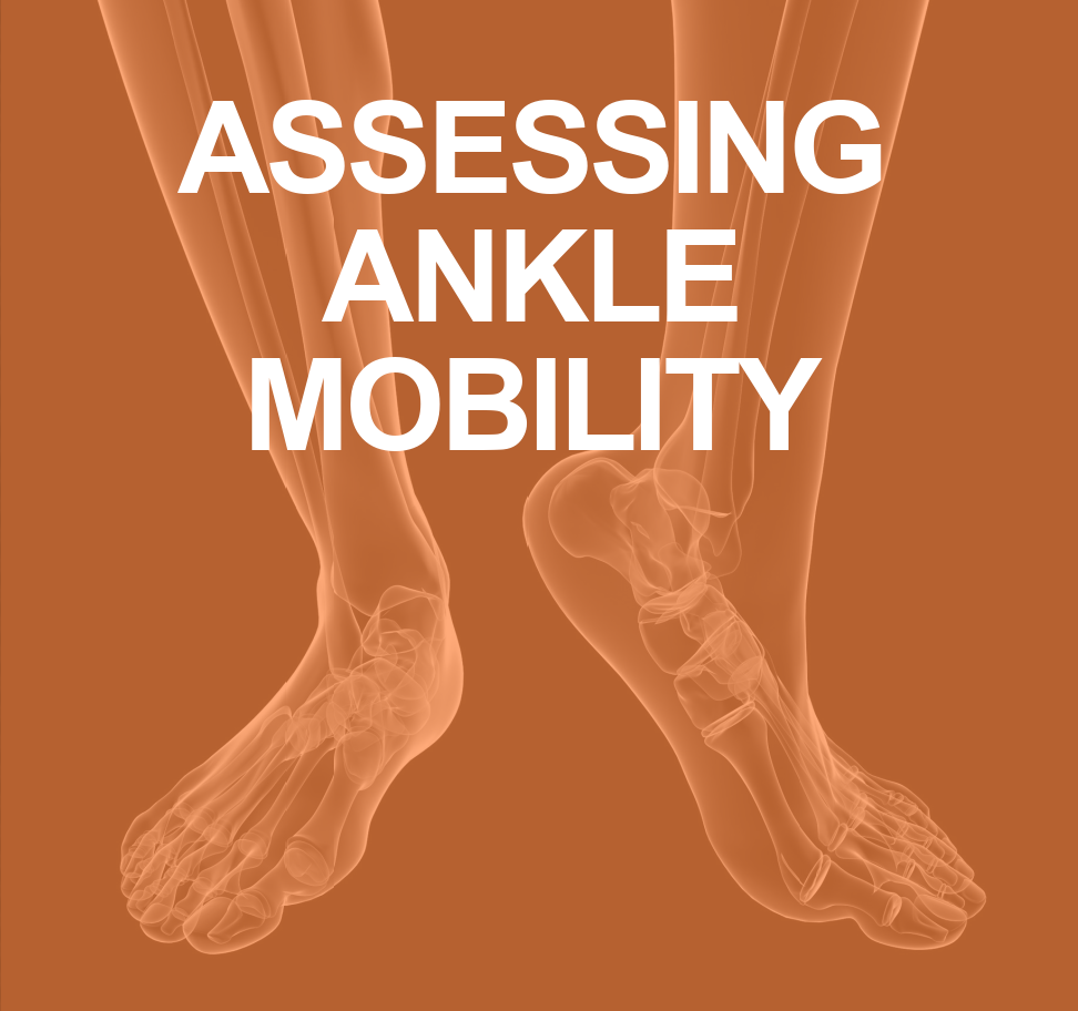 ASSESSING ANKLE MOBILITY