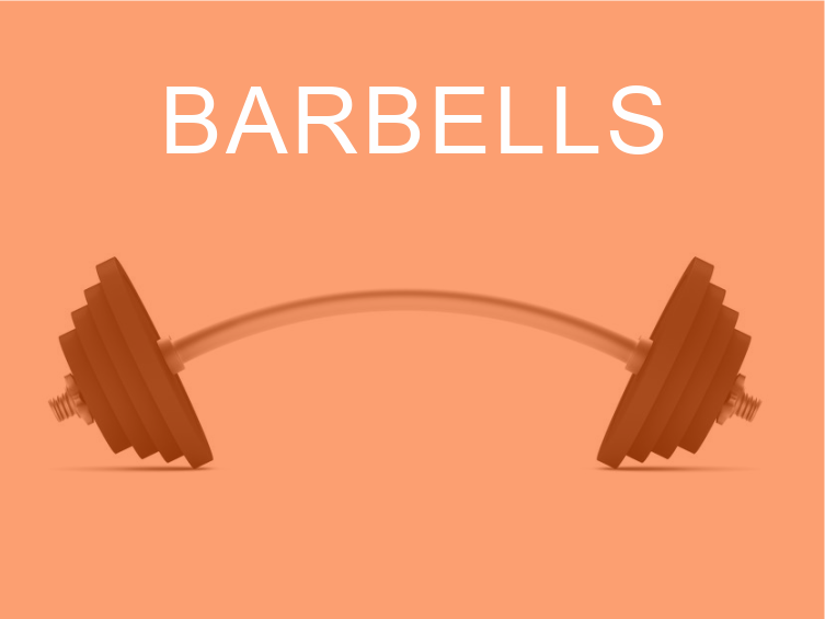 A Guide To Barbells What Trainers Should Know