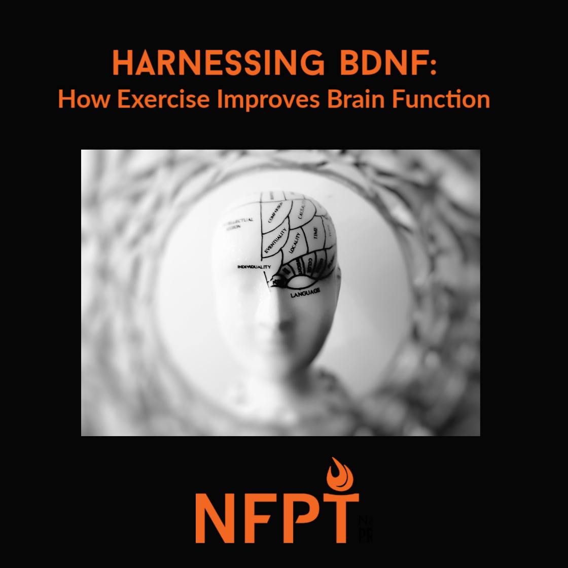 Harnessing BDNF: How Exercise Can Improve Brain Function