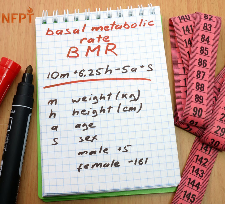 How Consumption Below BMR Can Undercut Fat Loss and Mass Gains 1 BMR