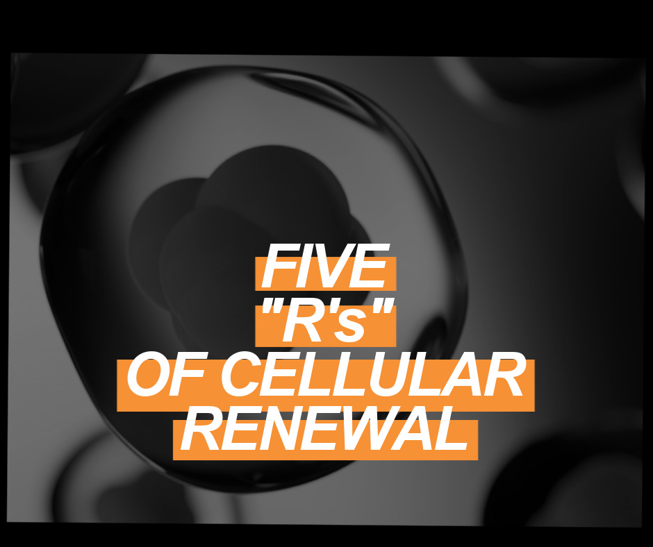 How to Support Cellular Health: The Five “R’s”